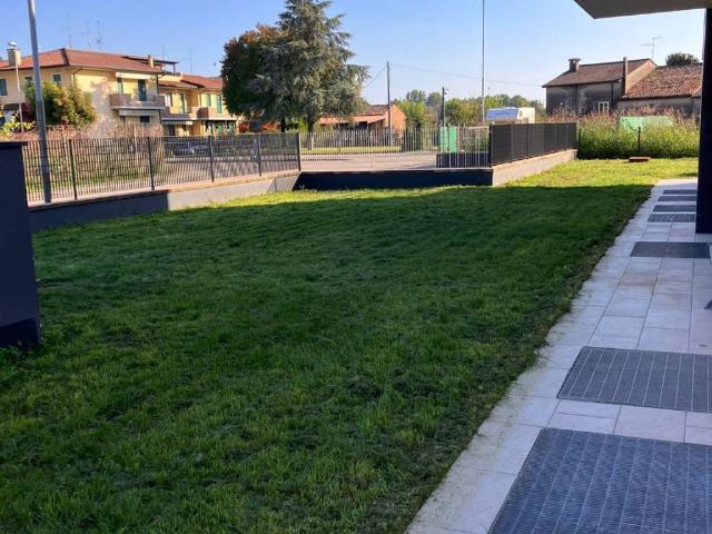 Appartamento in affitto a San Pietro di Morubio VR