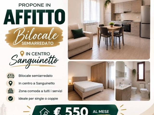 Appartamento in affitto a Sanguinetto VR