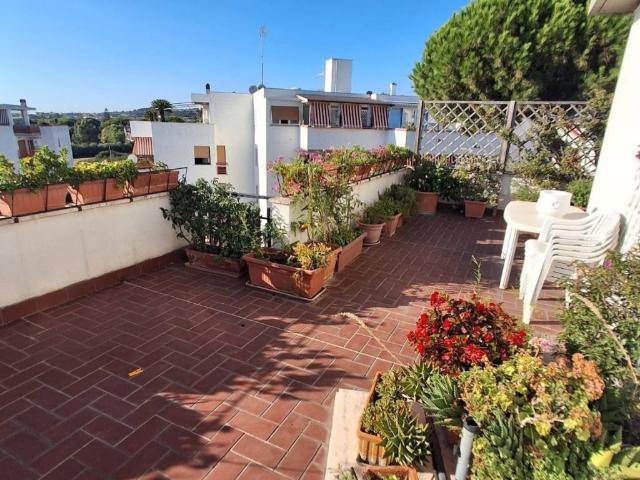 Appartamento in affitto a Santa Marinella RM