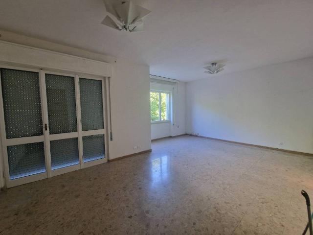 Appartamento in affitto a Sarzana SP