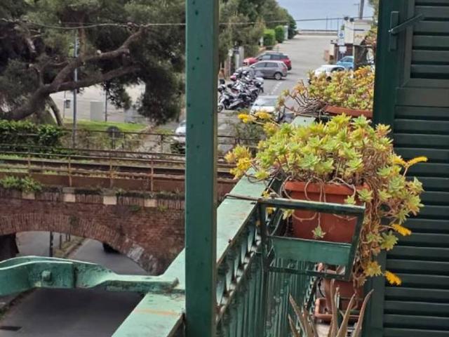 Appartamento in affitto a Savona SV