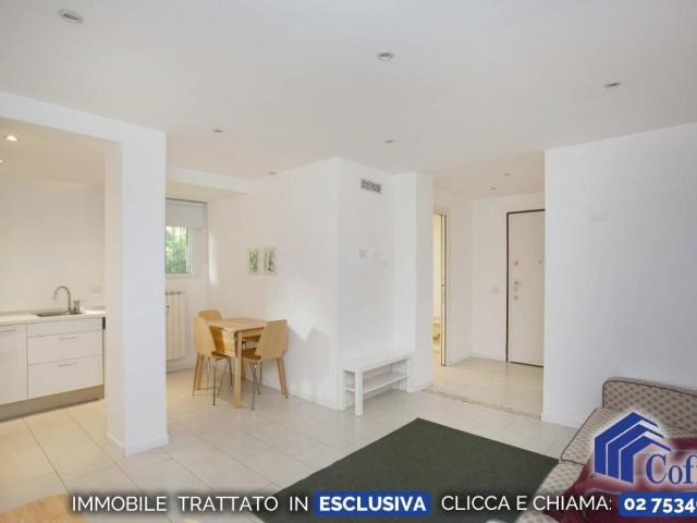 Appartamento in affitto a Segrate MI