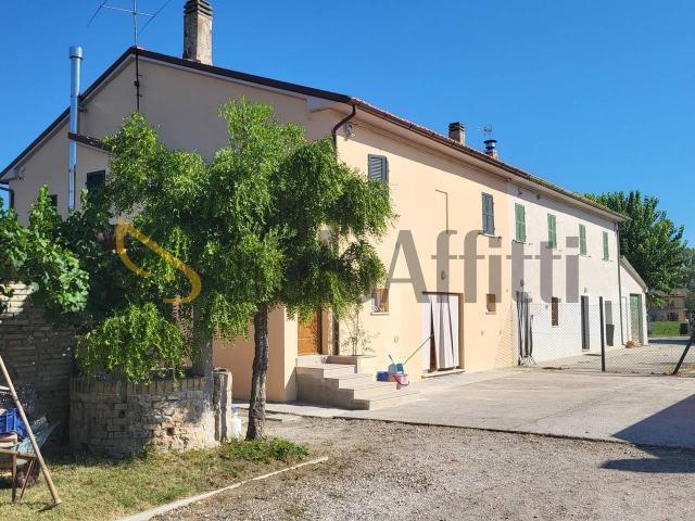 Appartamento in affitto a Senigallia