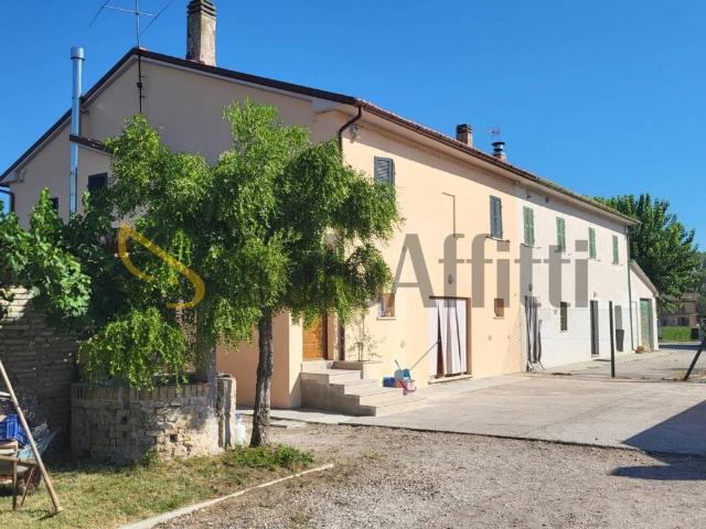 Appartamento in affitto a Senigallia AN