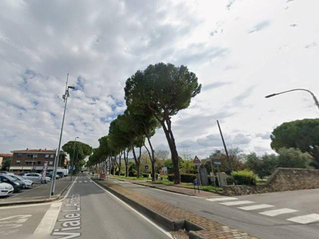 Appartamento in affitto a Sesto Fiorentino