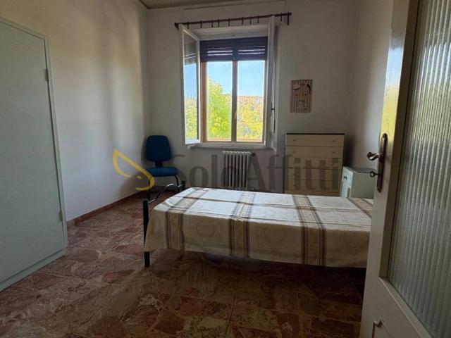 Appartamento in affitto a Siena SI