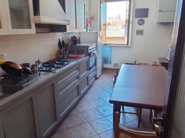 Appartamento in affitto a Siena
