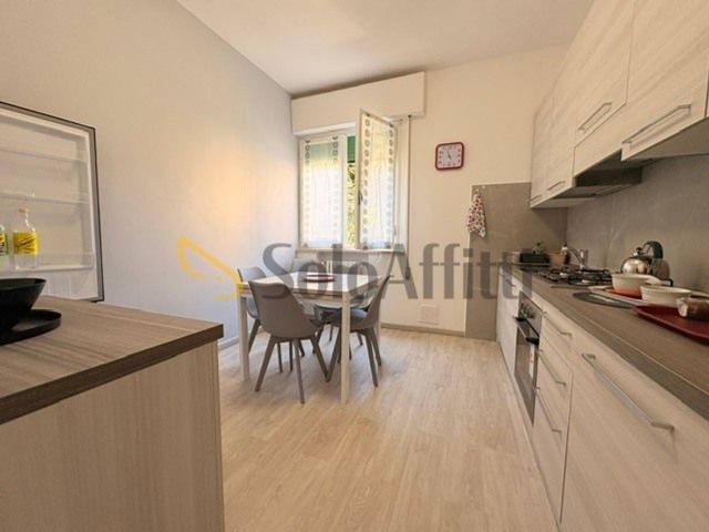 Appartamento in affitto a Siena