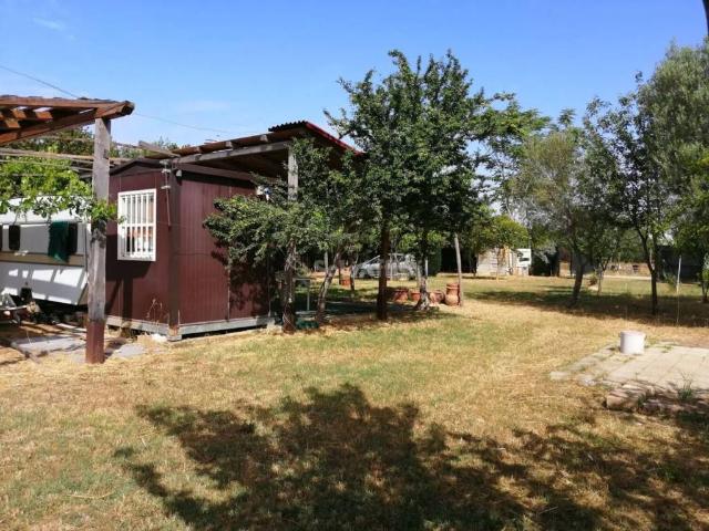 Appartamento in affitto a Tarquinia VT