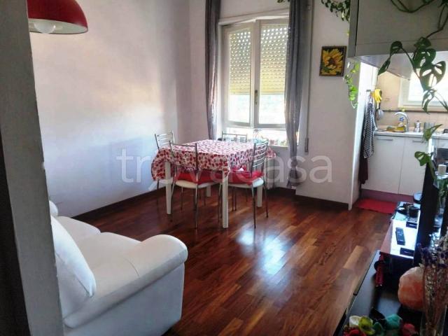 Appartamento in affitto a Terni piazza delle Arti, arredato, box, vista panoramica TrovaCasa