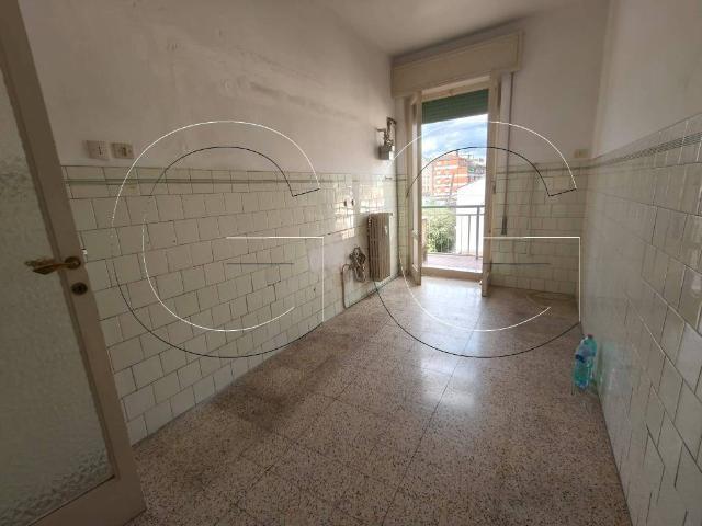 Appartamento in affitto a Terni TR