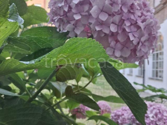 Appartamento in affitto a Todi vocabolo Castello, arredato, giardino, centrale TrovaCasa