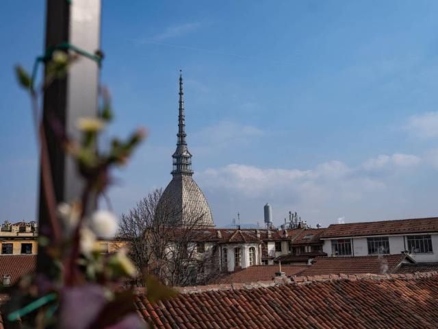 Appartamento in affitto a Torino TO