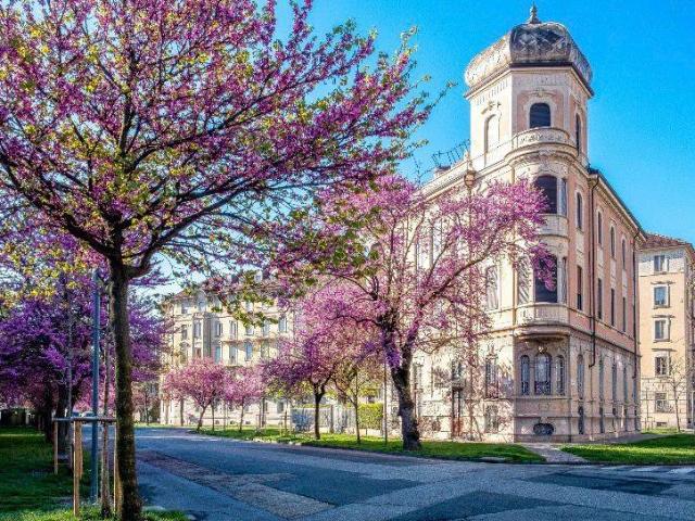 Appartamento in affitto a Torino TO
