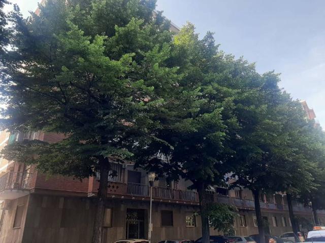 Appartamento in affitto a Torino TO