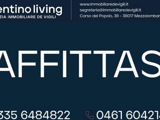 Appartamento in affitto a Trento via Canestrini 21, balcone TrovaCasa