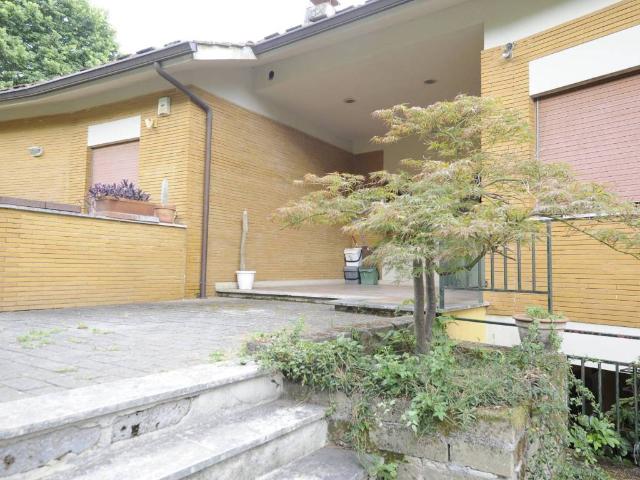 Appartamento in affitto a Trevignano Romano RM