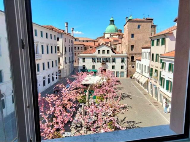 Appartamento in affitto a Treviso TV