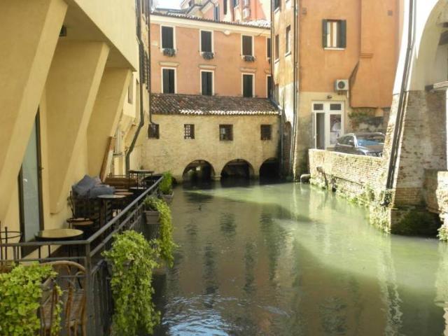 Appartamento in affitto a Treviso TV