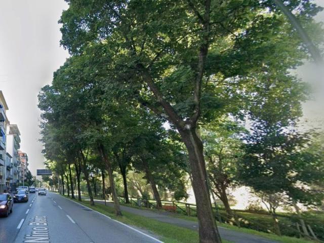Appartamento in affitto a Treviso viale nino bixio, arredato, posto auto, terrazzo TrovaCasa