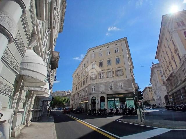 Appartamento in affitto a Trieste