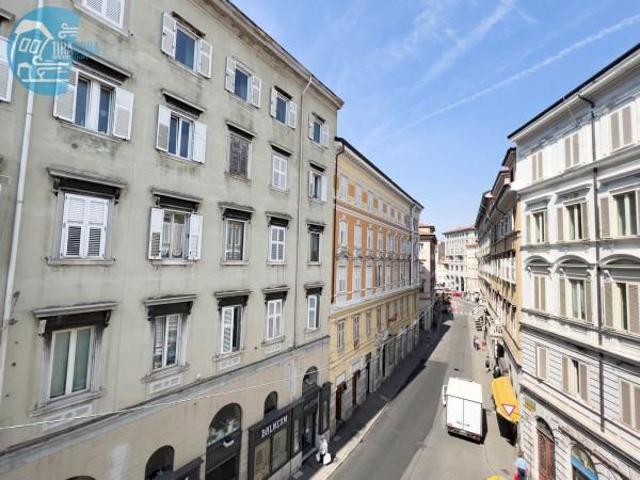 Appartamento in affitto a Trieste