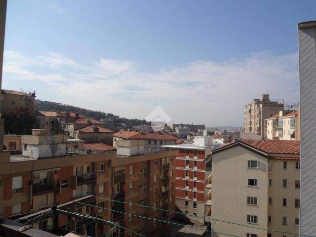 Appartamento in affitto a Trieste