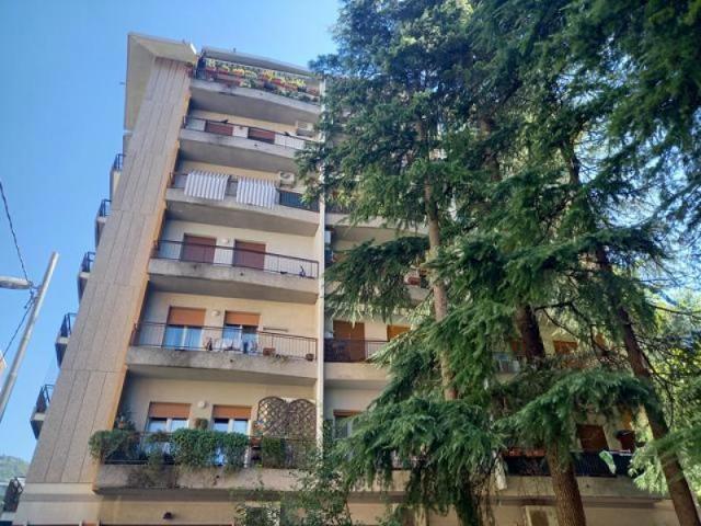 APPARTAMENTO in AFFITTO a TRIESTE di 2 vani