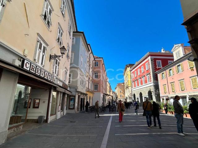 Appartamento in affitto a Trieste piazza di Cavana, arredato, immobile di prestigio, ascensore TrovaCasa