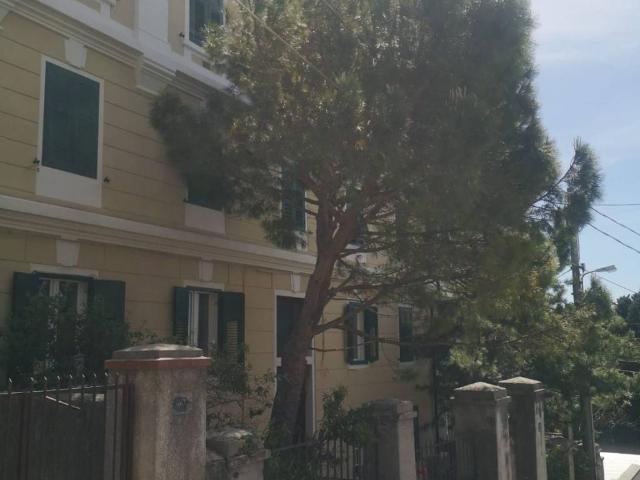 Appartamento in affitto a Trieste TS
