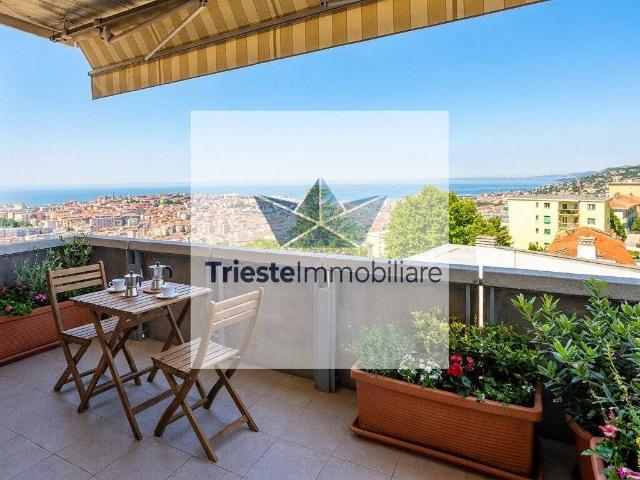 Appartamento in affitto a Trieste TS