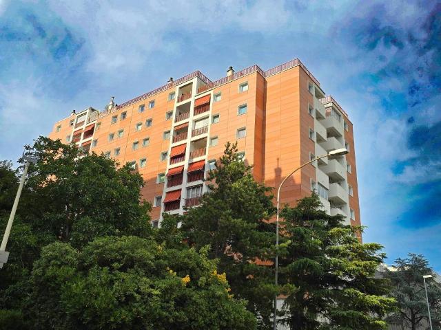 Appartamento in affitto a Trieste TS