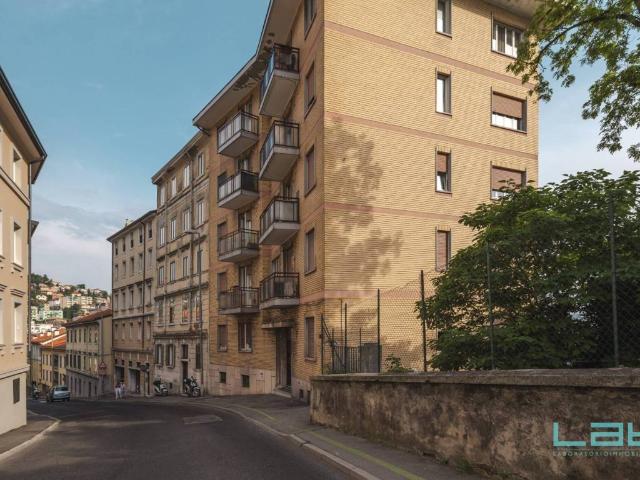 Appartamento in affitto a Trieste TS