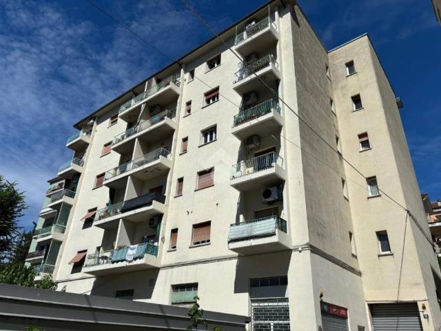 Appartamento in affitto a Trieste TS