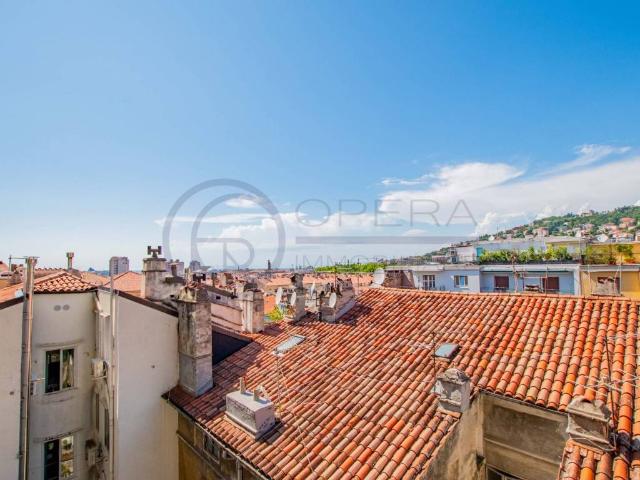 Appartamento in affitto a Trieste via Francesco Crispi, 62, arredato, terrazzo, ascensore TrovaCasa