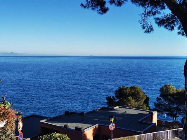 Appartamento in affitto a Varazze SV