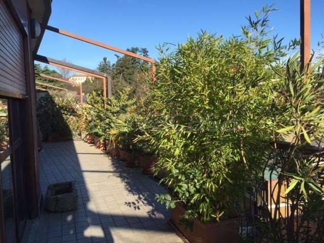 Appartamento in affitto a Varese via sabotino, box, terrazzo, cantina TrovaCasa
