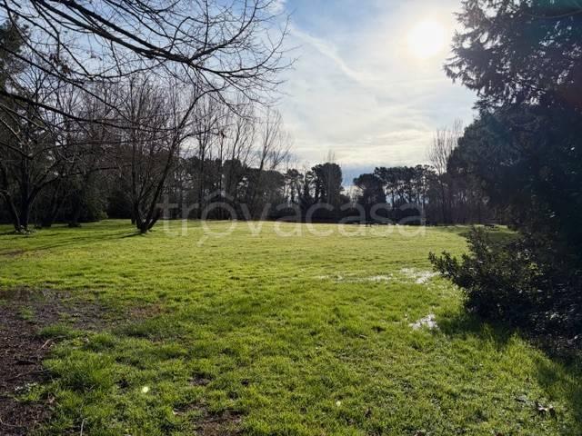 Appartamento in affitto a Vecchiano via del Mare, arredato, giardino, caminetto TrovaCasa