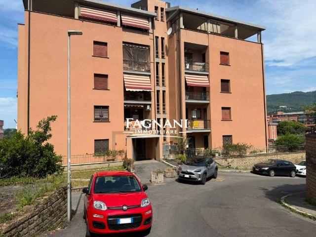 Appartamento in affitto a Velletri RM