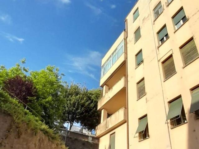 Appartamento in affitto a Velletri RM