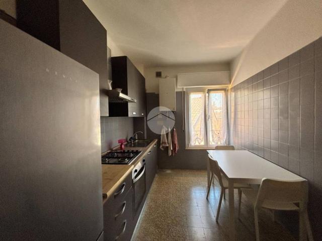 Appartamento in affitto a Verona VR