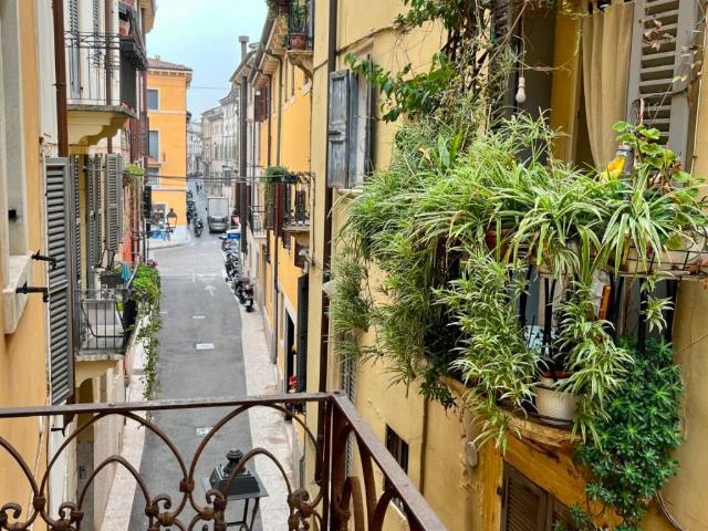 Appartamento in affitto a Verona VR
