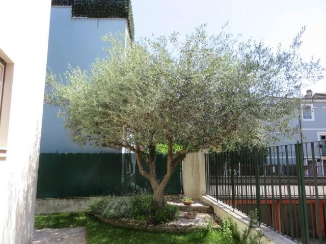 Appartamento in affitto a Verona VR