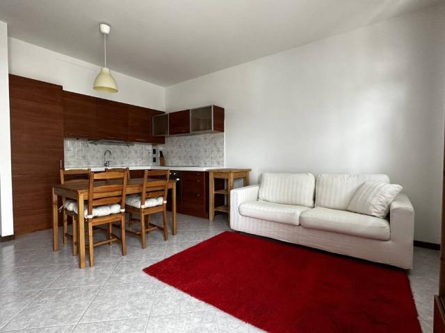 Appartamento in affitto a Verona VR