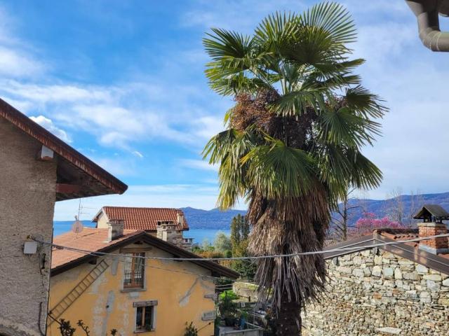 Appartamento in affitto a Verbania VB