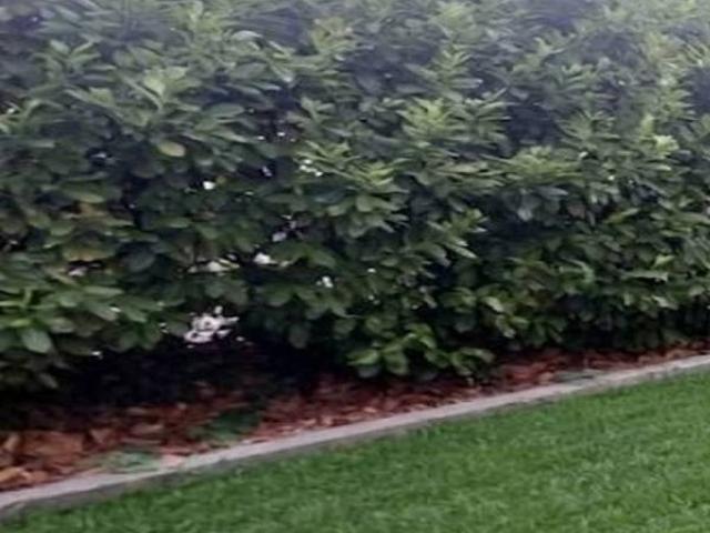 Appartamento in affitto a Vicenza VI