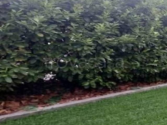 Appartamento in affitto a Vicenza viale Astichello, arredato, giardino privato, posto auto TrovaCasa