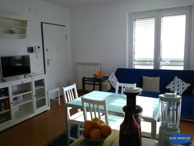 Appartamento in affitto a Viareggio