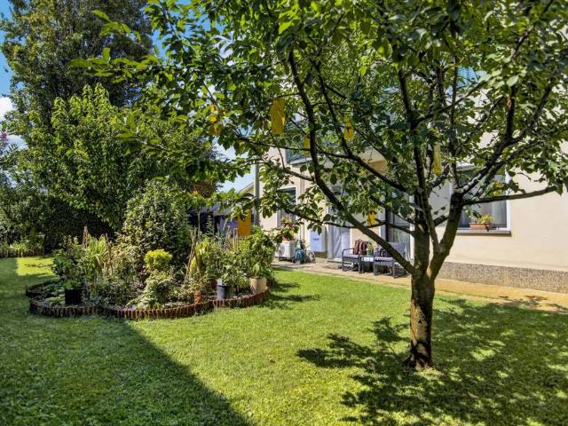 Appartamento in affitto a Vigonovo VE