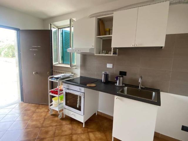 Appartamento in affitto a Zagarolo RM